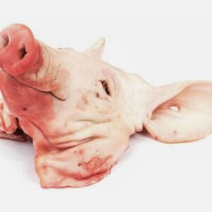 Tête de Porc Fraîche pour Cuisiner